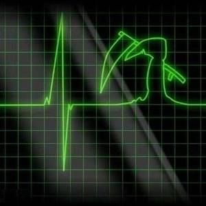 Meet your Posher, Jose